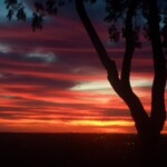 Sunsets